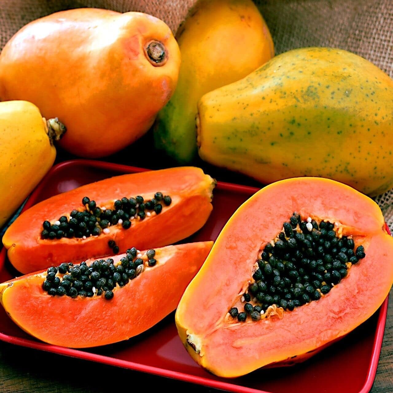 Papaya