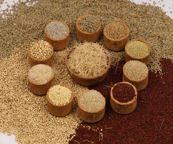 Foxtail millet Vermicelli