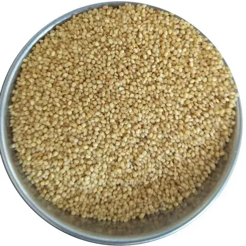 Foxtail Whole 500gm  millet