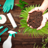 House Cleaning & Gardening