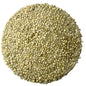 Browntop Millet