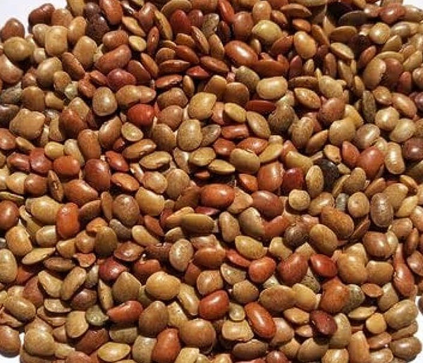 Horse Gram1KG