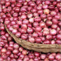 Sambar Onion