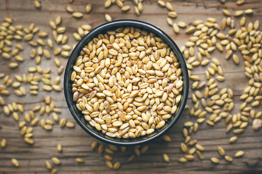 Barley Seeds 500 GM